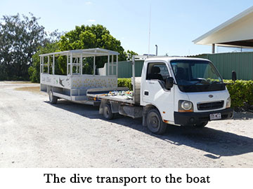 The dive transport to the boat