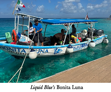 Liquid Blue's Bonita Luna