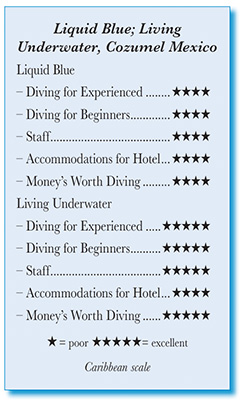 Liquid Blue; Living Underwater, Cozumel Mexico - Rating