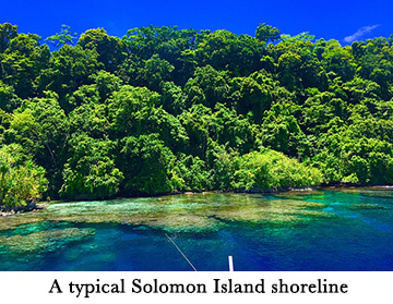 A
typical Solomon Island shoreline