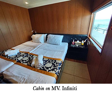 Cabin on MV. Infiniti
