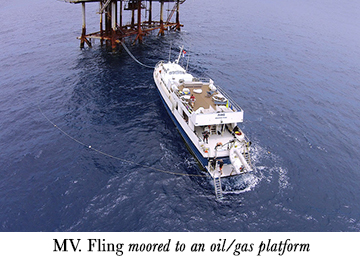 MV. Fling moored to an oil/gas platform