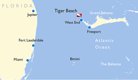 Tiger Beach in Bahamas - Map