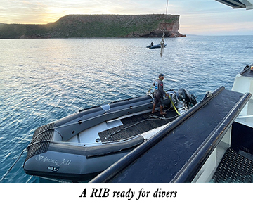 A RIB ready for divers