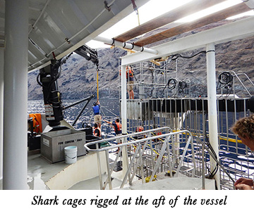 Shark cages rigged at the aft of the vessel