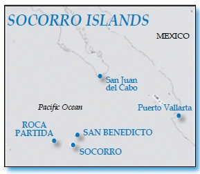 Nautilus Explorer, Socorro Islands, Mexico