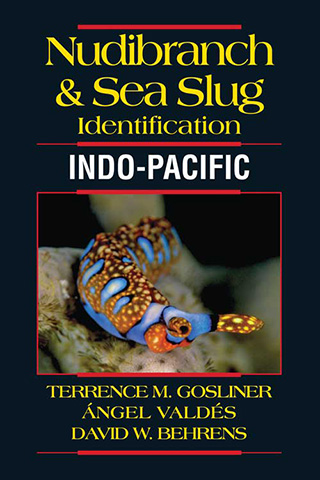 Nudibranch and Sea Slug Identification: Indo-Pacific