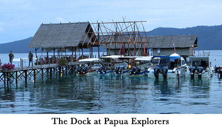 The Dock at Papua Explorers