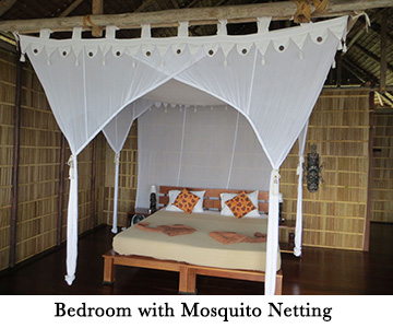 Bedroom with Mosquito Netting