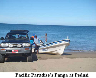 Pacific Paradise's Panga at Pedasi