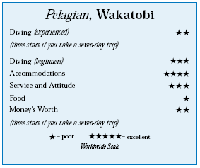 The Pelagian, Wakatobi, Indonesia
