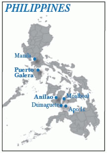 Anilao, Puerto Galera and More: The Philippines