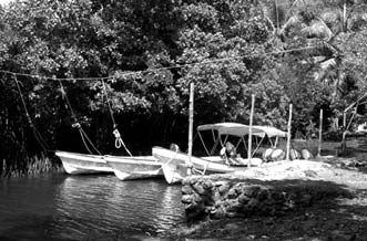 Pohnpei Dive Boats