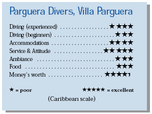 Diving With Parguera Divers in Puerto Rico