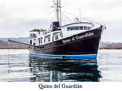 Quino del Guardián - Mexico liveaboard