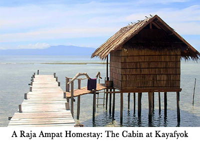 A Raja Ampat Homestay: The Cabin at Kayafyok
