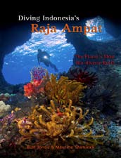 Diving Indonesia’s Raja Ampat