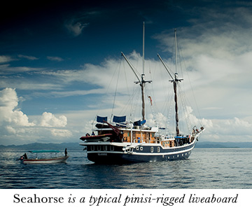 Seahorse is a typical pinisi-rigged liveaboard