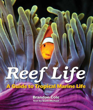 Reef Life: A Must-Have Guide to Tropical Marine Life