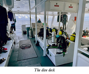 The dive deck