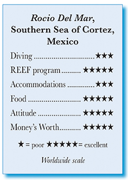 MY. Rocio del Mar - Rating