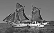The Ondina under full sail