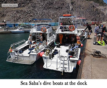 Sea Saba's dive boats at the dock