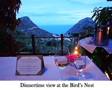 Dinnertime view at the Bird Nest