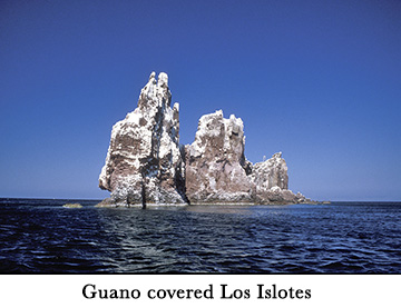 Guano covered Los Islotes