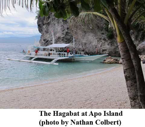 The Hagabat at Apo Island