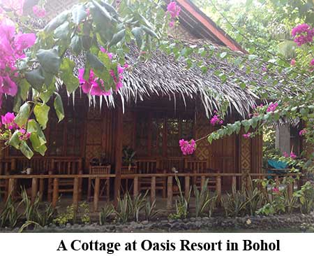 A Cottage at Oasis Resort in Bohol
