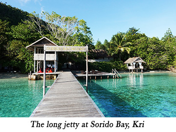 The long jetty at Sorido Bay, Kri