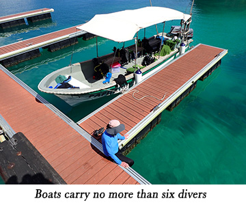 Boats carry no more than six divers