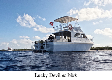 Lucky Devil at Work