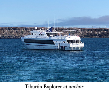 Tiburón Explorer at anchor