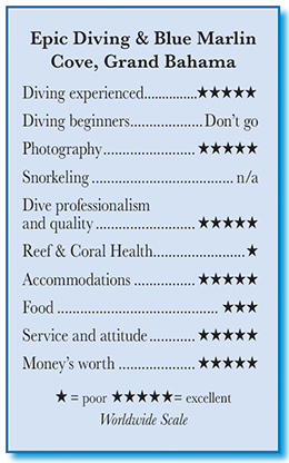 Epic Diving & Blue Marlin Cove, Grand Bahama - Rating