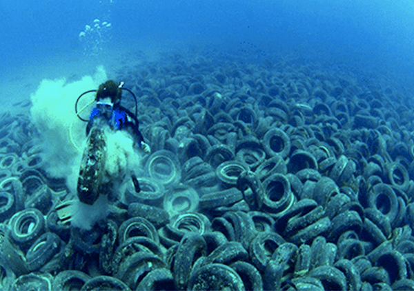 Osborne Reef