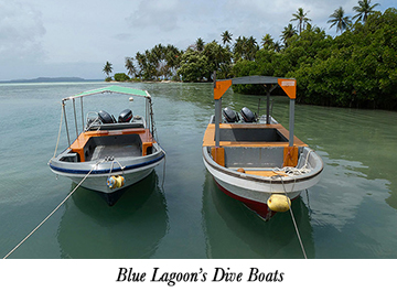 Blue Lagoon's Dive Boats