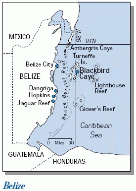 Diving the Turneffe Islands of Belize