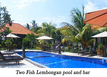 Two Fish Lembongan pool and bar