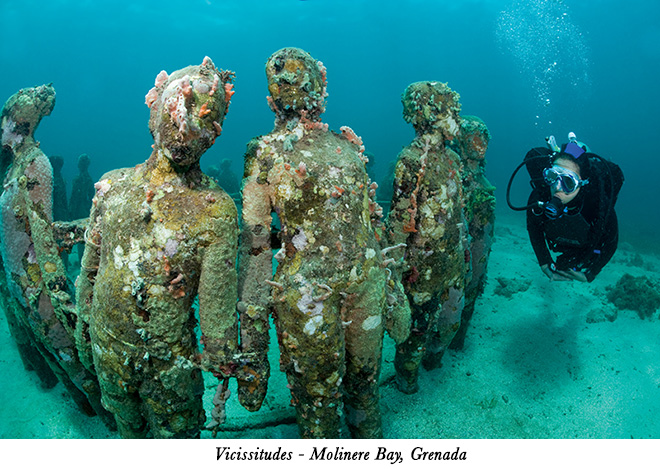 Vicissitudes - Molinere Bay, Grenada