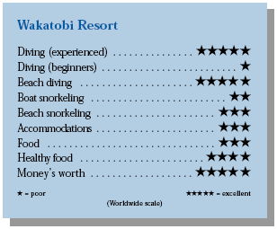 Wakatobi Resort