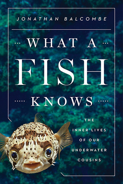 What A Fish Knows - Book