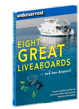 Eight Great Liveaboards -- and one disaster!